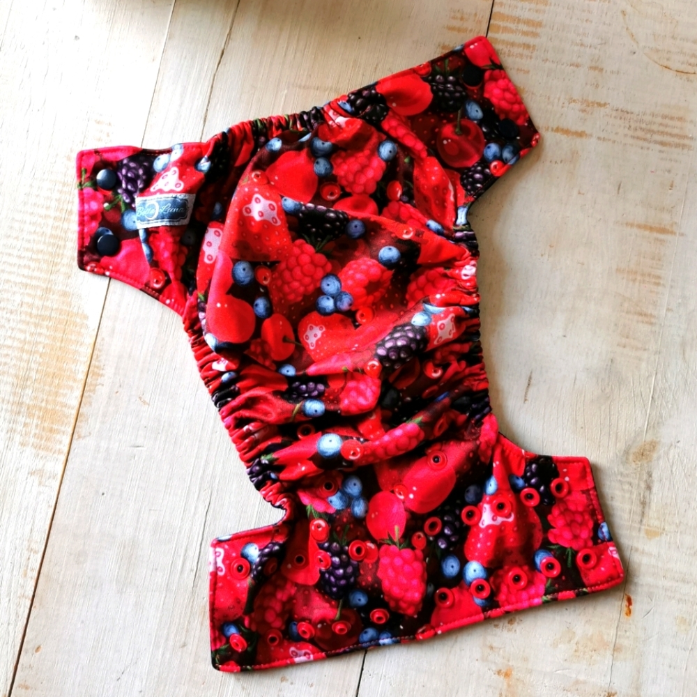 Bella Luna cloth diaper